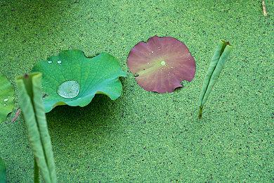 育碧很可能在开发《荣耀战魂》续作